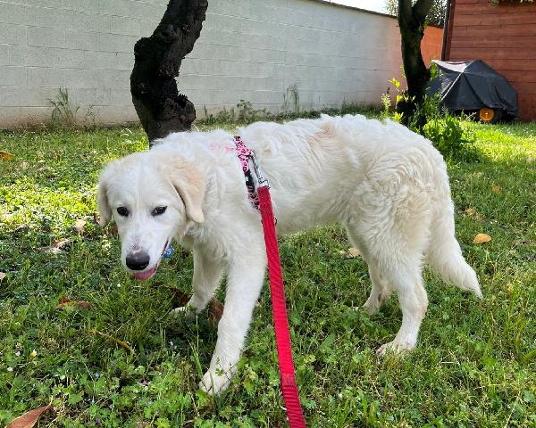 LELLA DELIZIOSA MAREMMANINA Foto 7